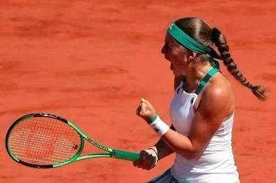 定性与适应 定性与适应