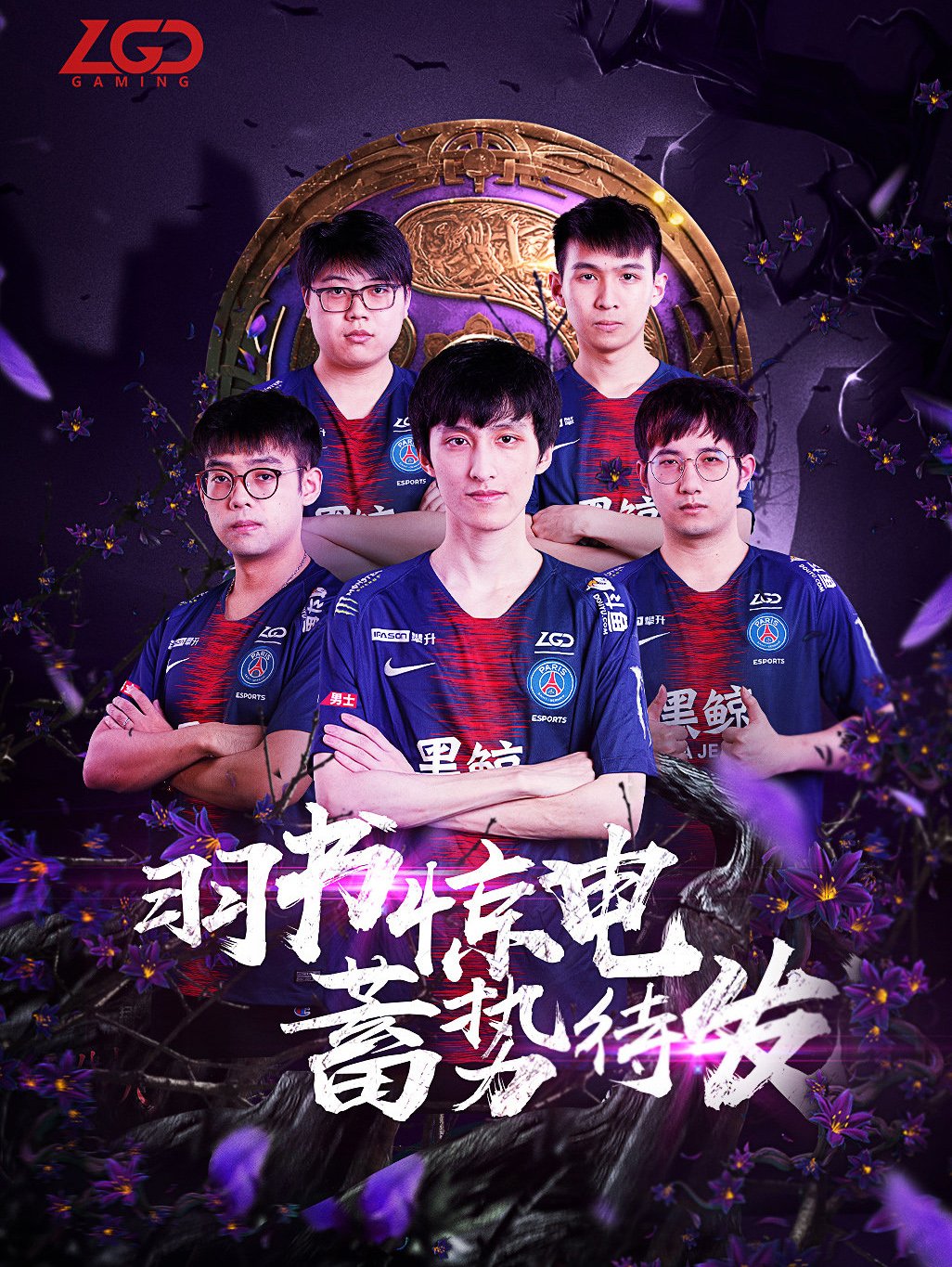 整个赛场的 整个赛场的
